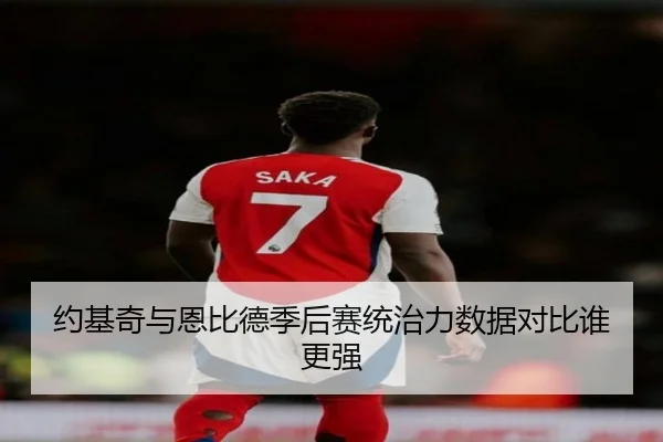 约基奇与恩比德季后赛统治力数据对比谁更强